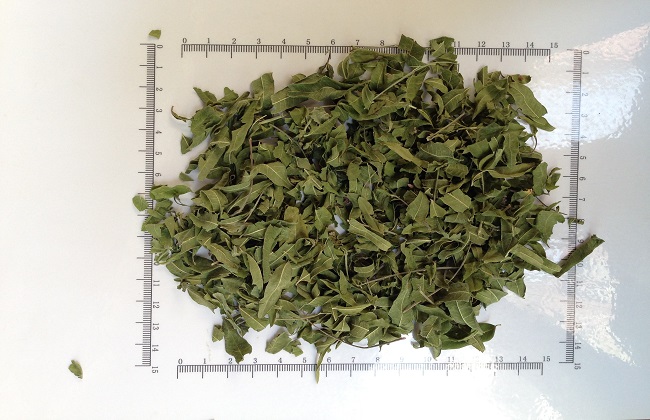 罗布麻叶泡水喝的功效与作用