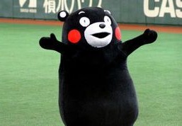 “熊本熊”商标被抢先注册，无奈改名“酷MA萌”