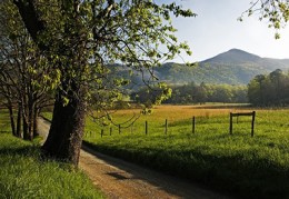 工作室商标注册申请的方法是什么？