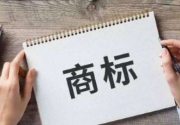 商标名字查询，品牌起名命名规范！